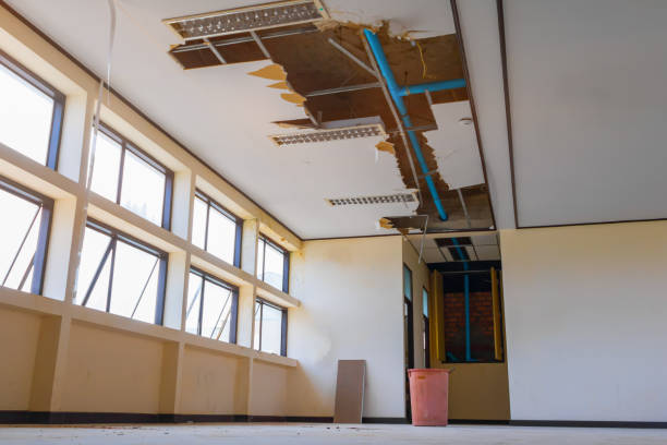 Best Fire Damage Restoration  in Heritage Lake, IL