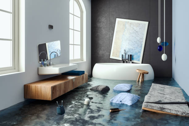 Best Water damage repair service  in Heritage Lake, IL