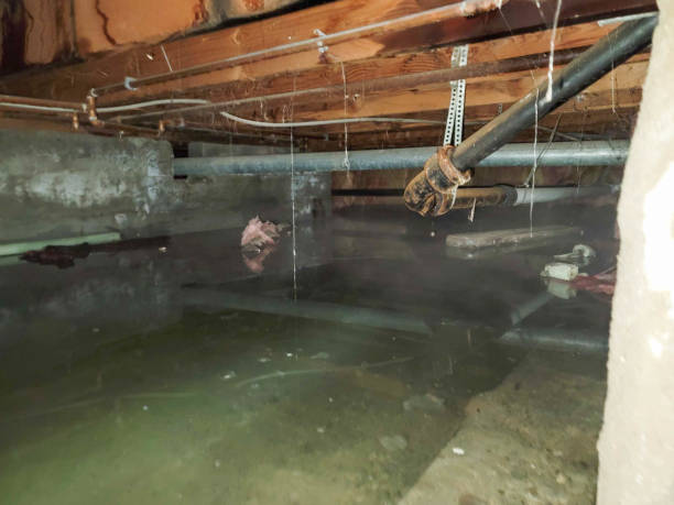 Reliable Heritage Lake, IL Water damage restoration Solutions