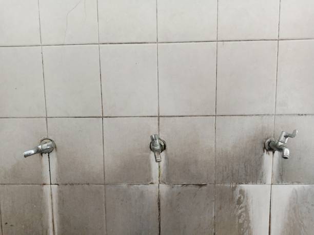 Best Water damage restoration near me  in Heritage Lake, IL