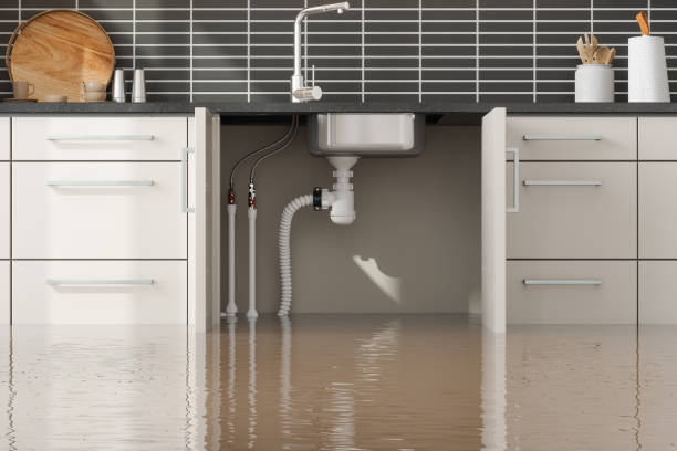 Best 24/7 water damage repair  in Heritage Lake, IL